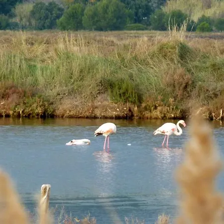 T2 Ensoleille, Vue Et Champ, Climatise Carqueiranne